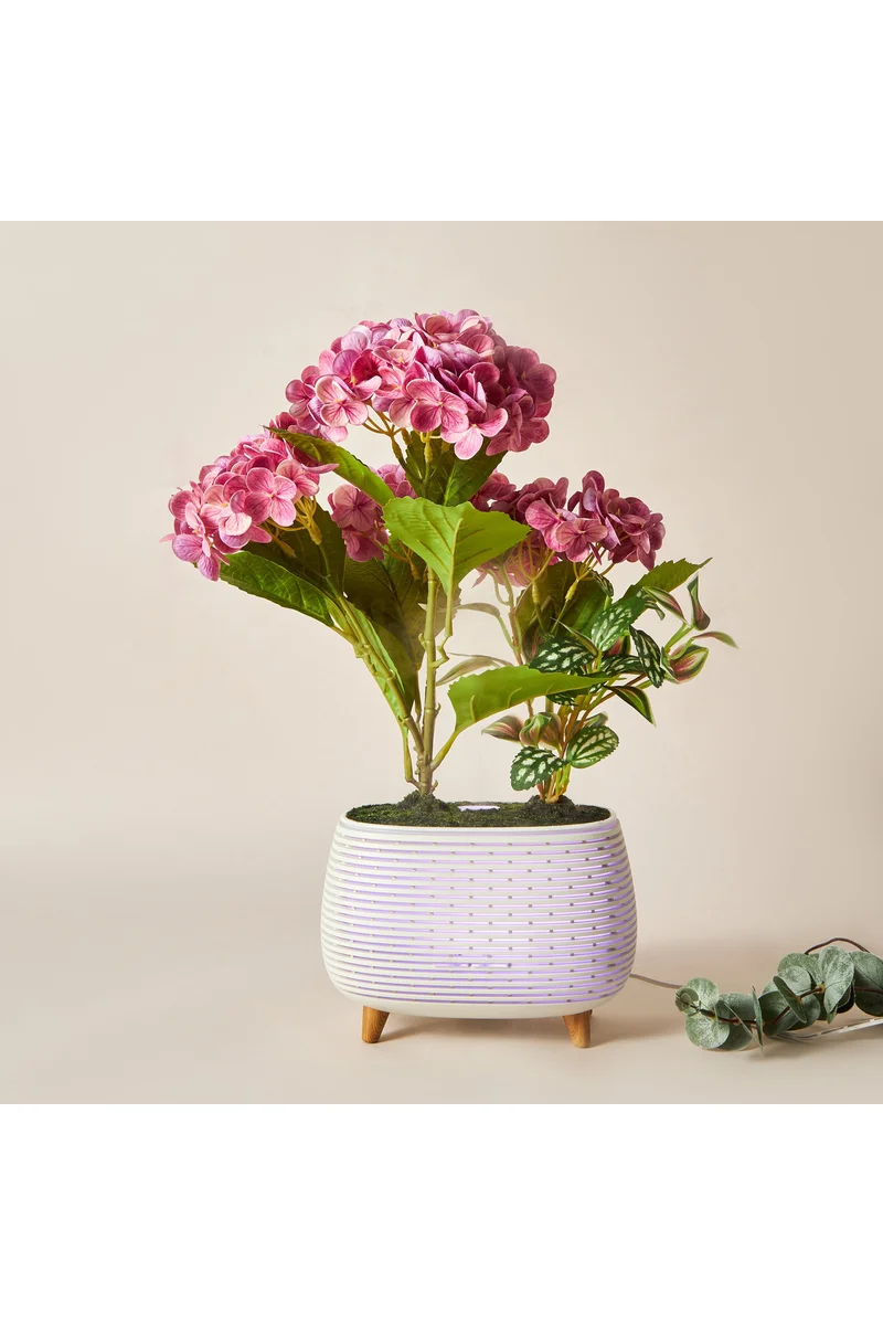 LIFESTYLE Hydressa Botanical Aroma Diffuser